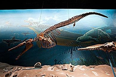 对标3A大作 Archosaur虚幻引擎5跨平台游戏技术演示